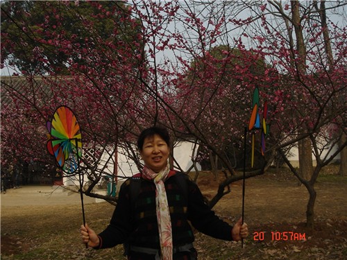 dsc00178_.jpg