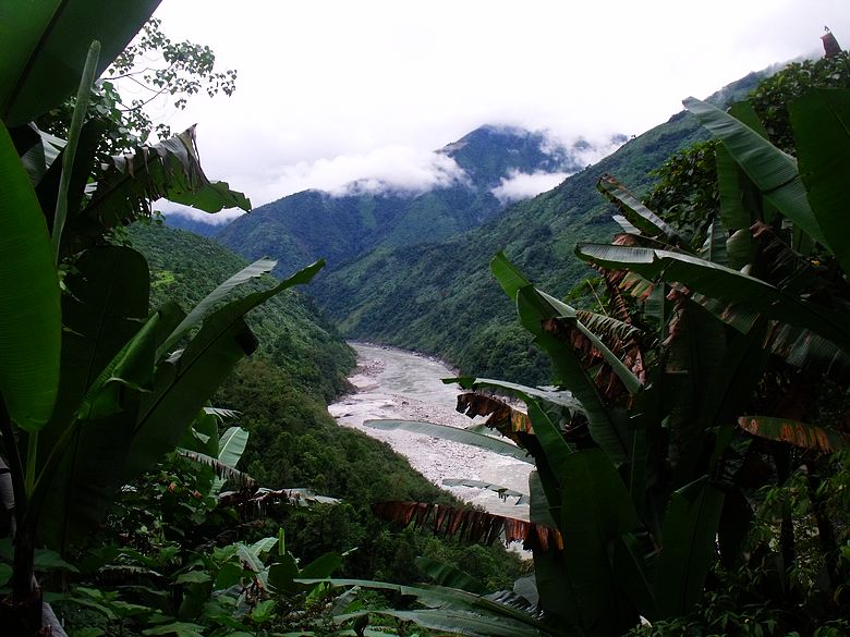 dscf9225.jpg