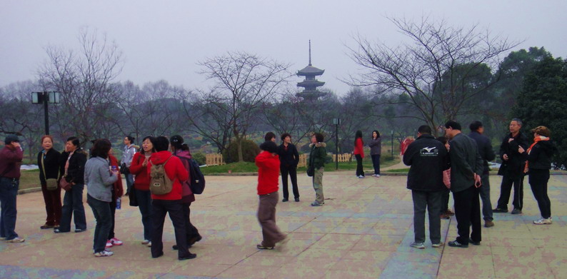 dsc03502.jpg