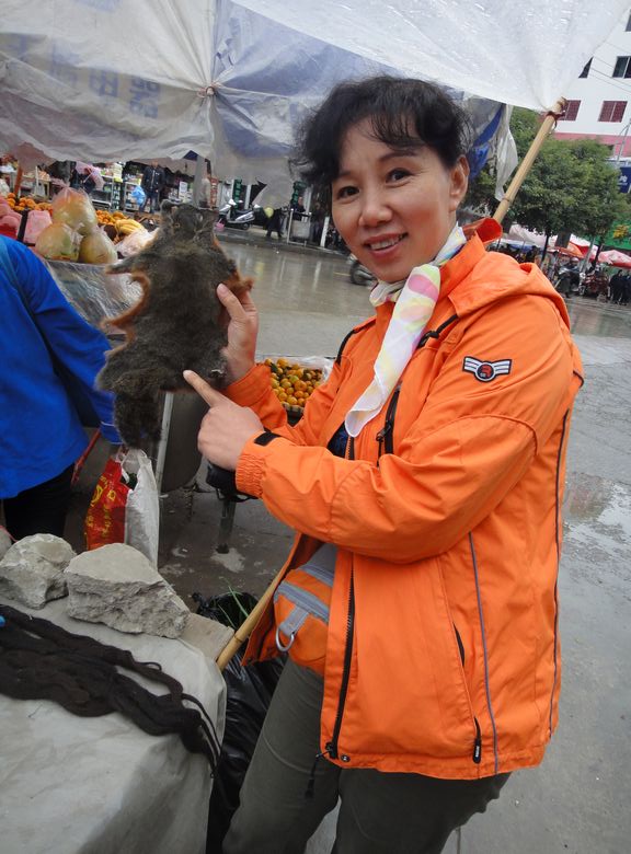 dsc02809.jpg