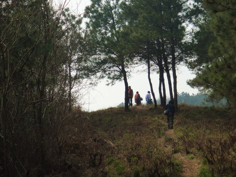 dsc03456.jpg