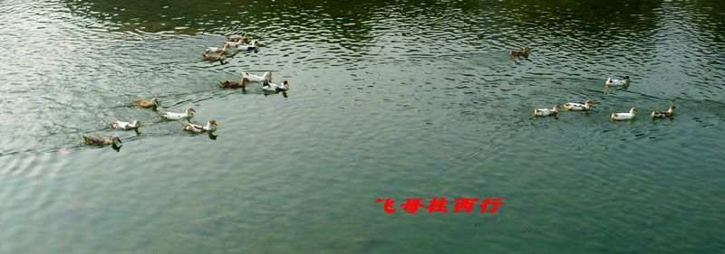 p1010616.jpg