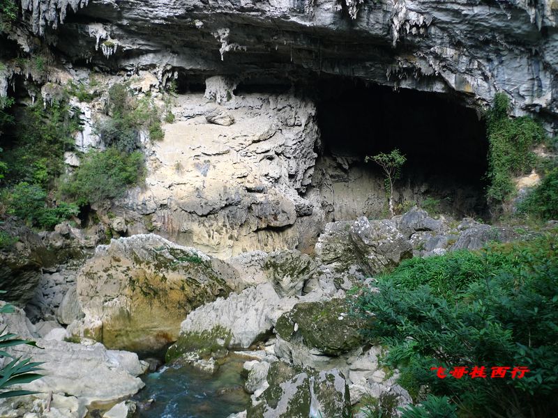 p1010626.jpg
