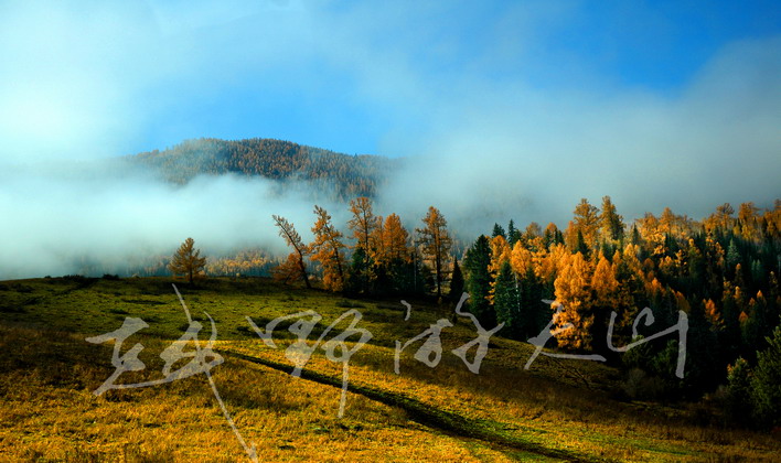 dsc_2460.1_С.jpg