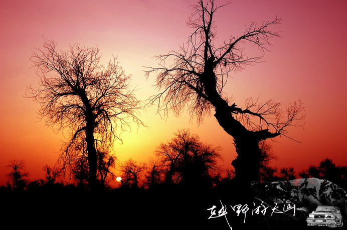 dsc_2920.1_С.jpg