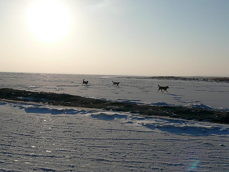 p1220005.jpg