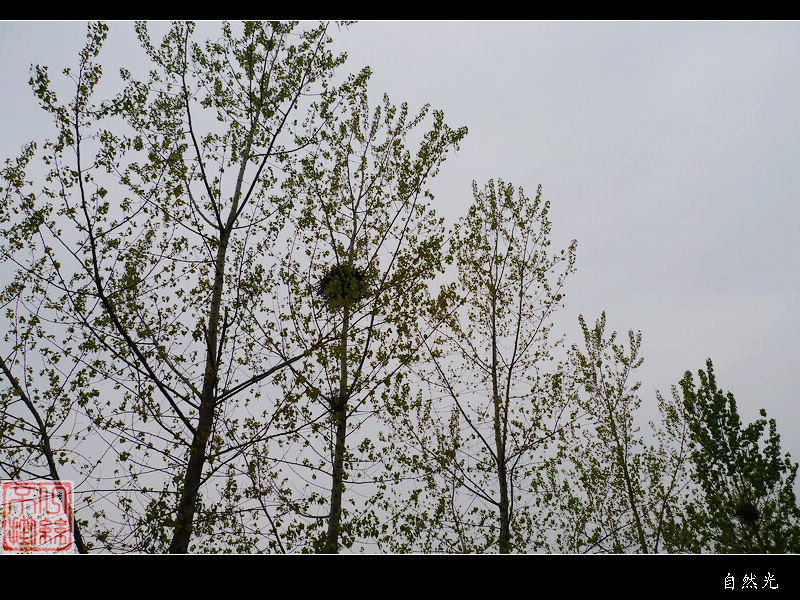 l1110174.jpg