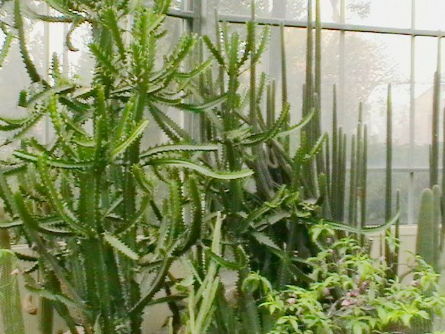 imga0340.jpg