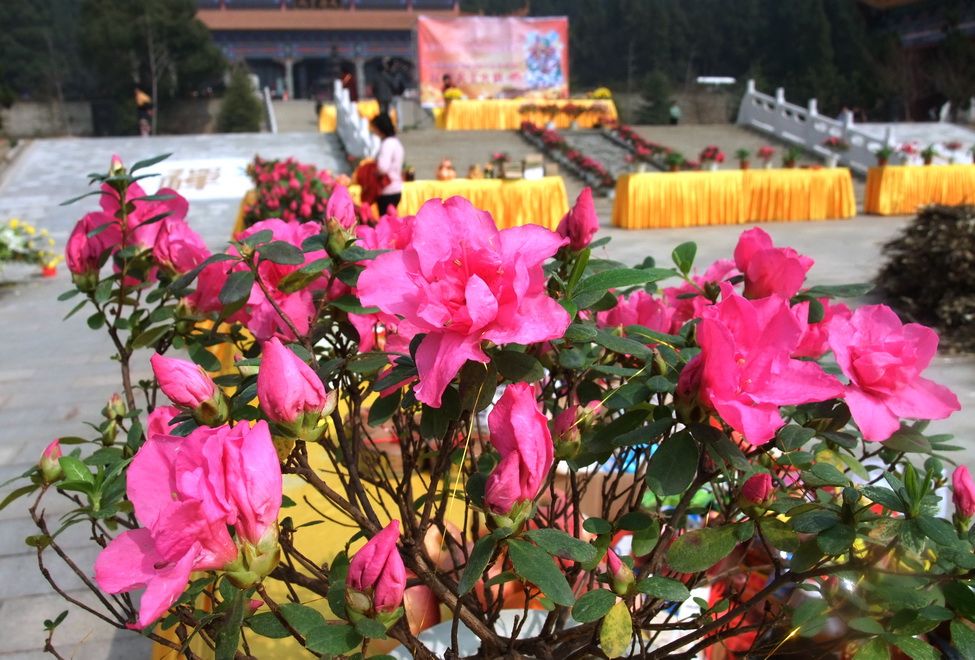 dscf9666.jpg