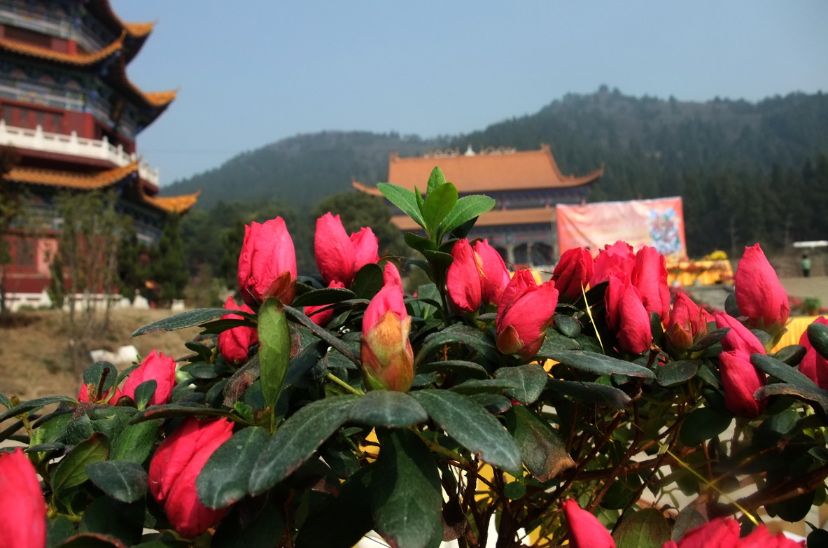 dscf9667.jpg