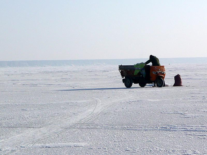 p1220124.jpg