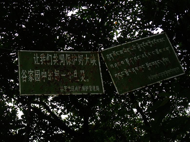 dscf9238.jpg
