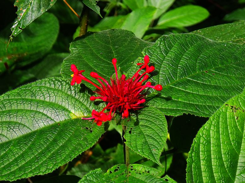 dscf9247.jpg