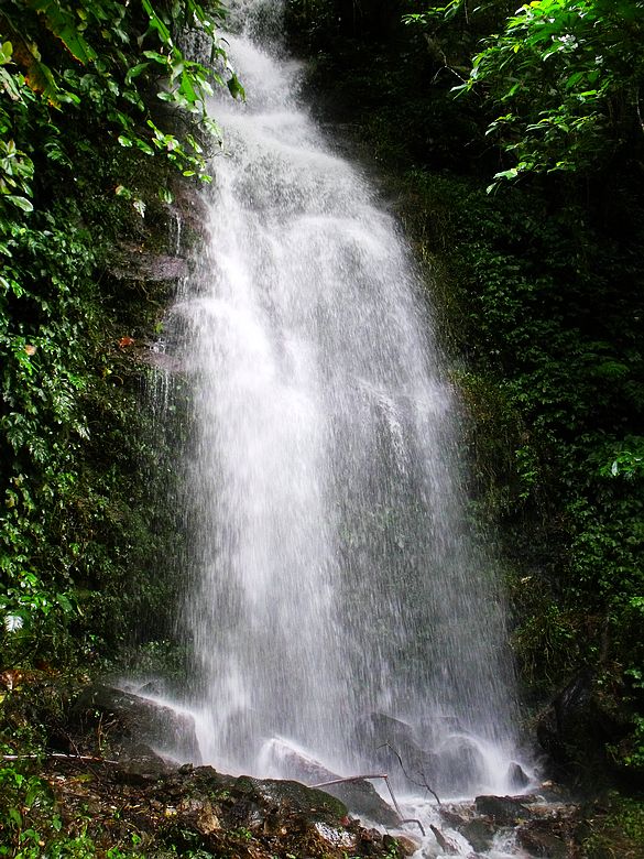 dscf9248.jpg