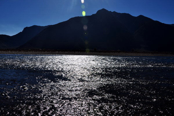 dsc_0175ѹ.jpg