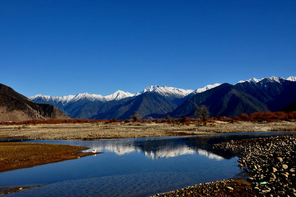 dsc_0197ӱѹ.jpg