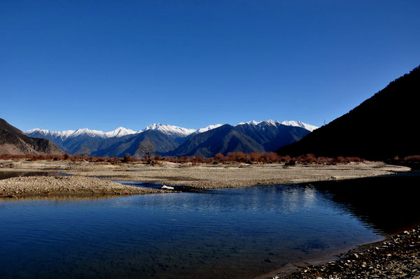 dsc_0205ӱѹ.jpg
