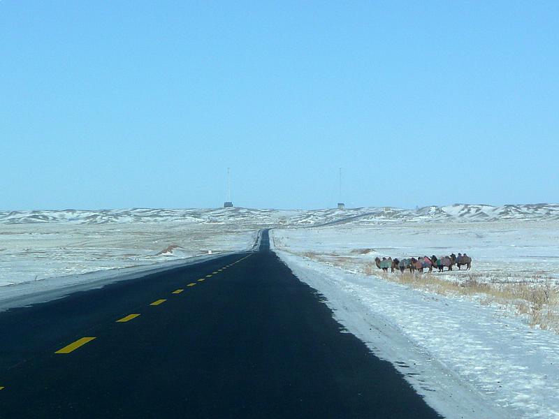 p1200203.jpg