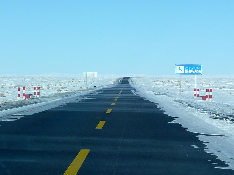 p1200227.jpg