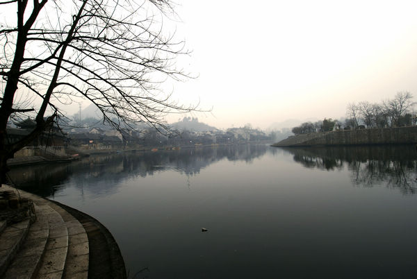 dsc_0903.jpg