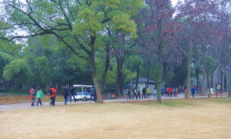 dsc03665.jpg