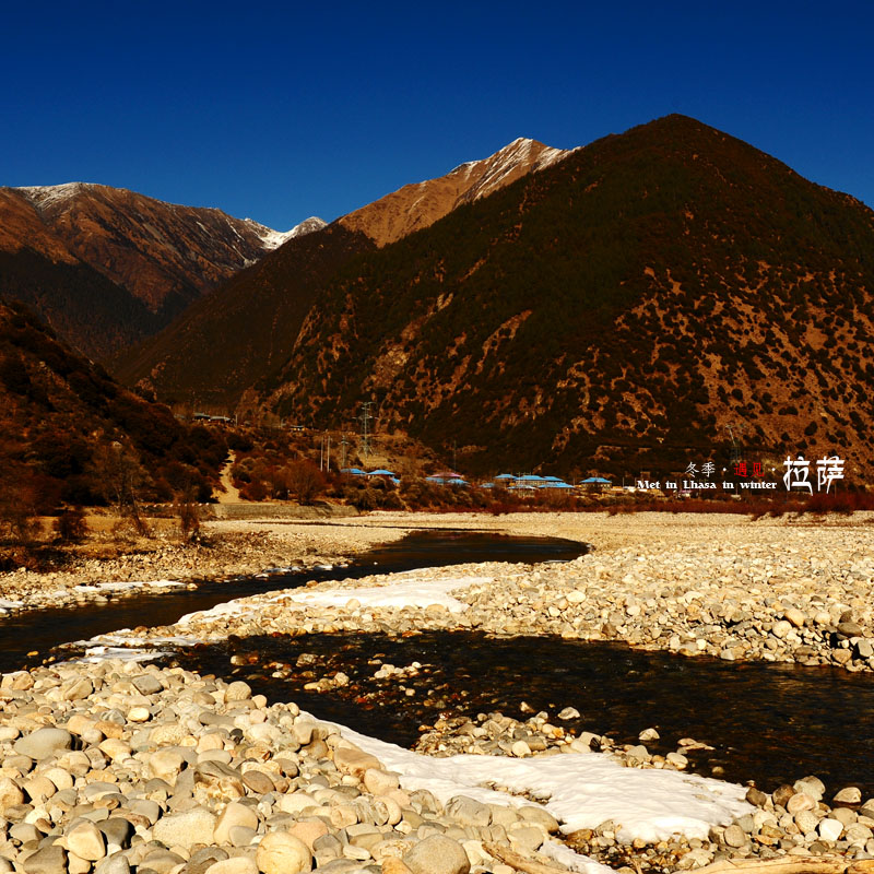 dsc_2302.jpg