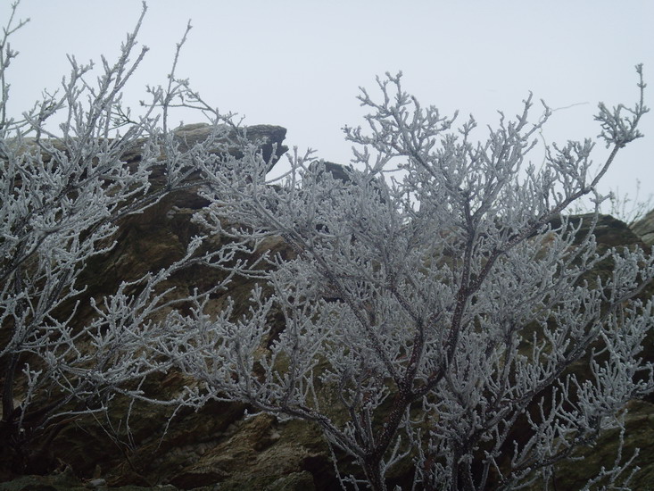 С snv31424.jpg