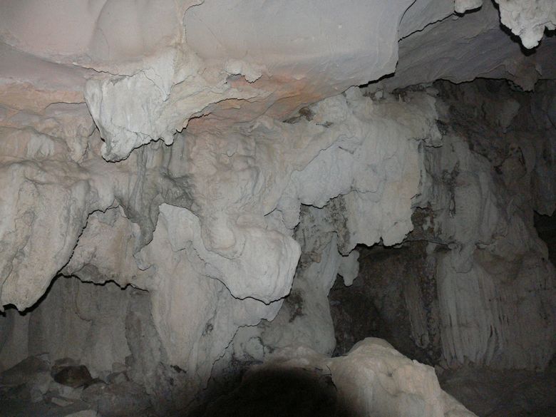 p1120426.jpg