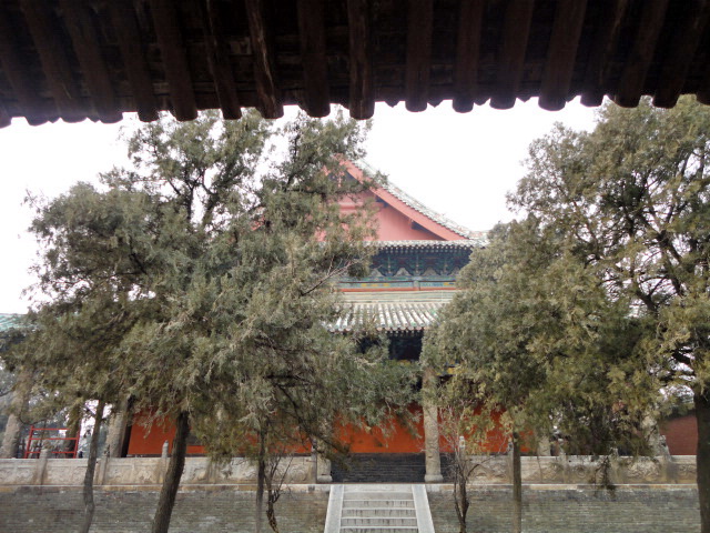 dsc00307.jpg