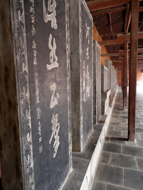 dsc00308.jpg