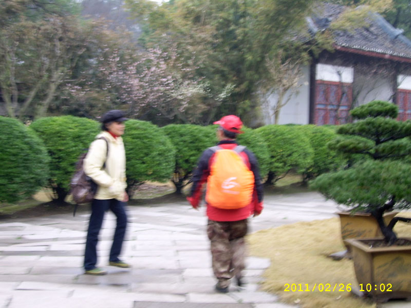ssa40063.jpg