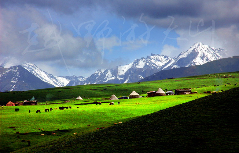 dsc_9539.1_С.jpg
