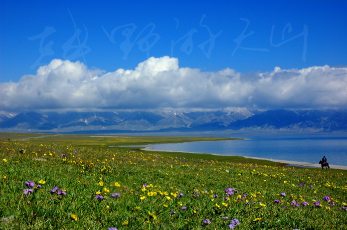 dsc_8833.1_СС.jpg
