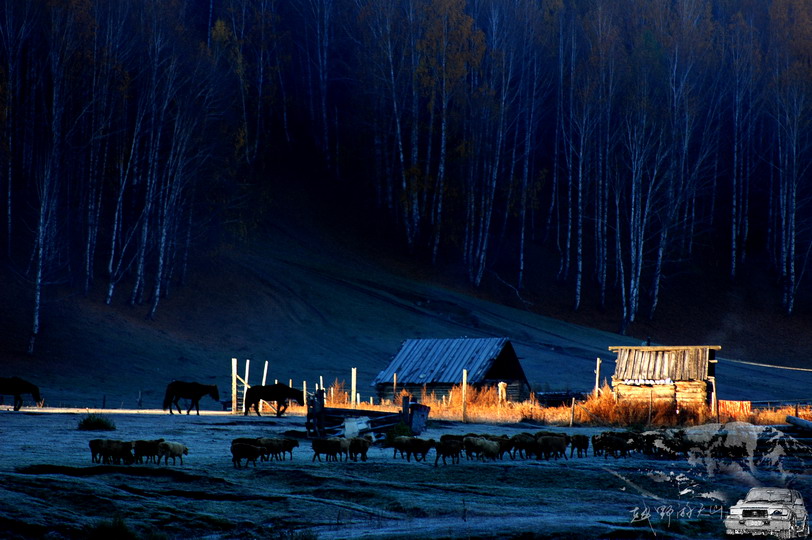 dsc_1240.1_С.jpg