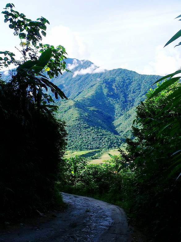 dscf9281.jpg