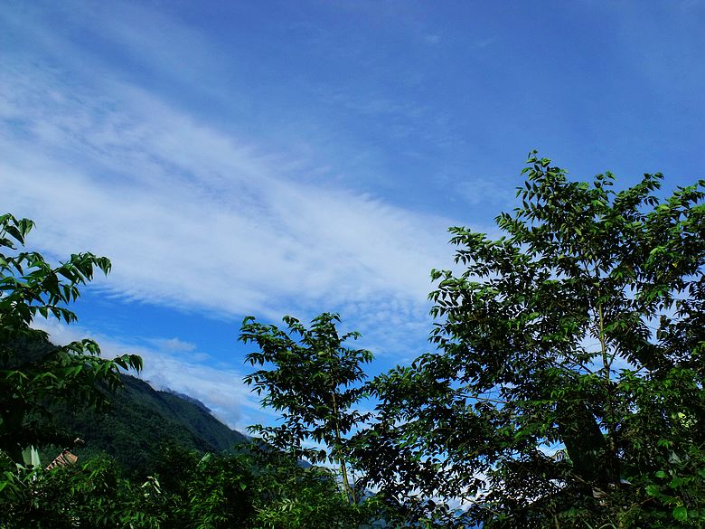 dscf9291.jpg
