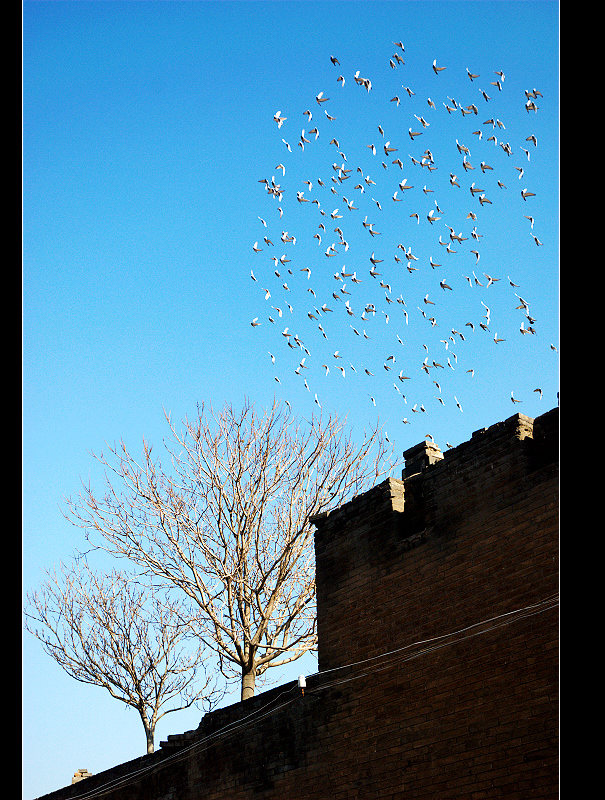 dsc_0160.jpg
