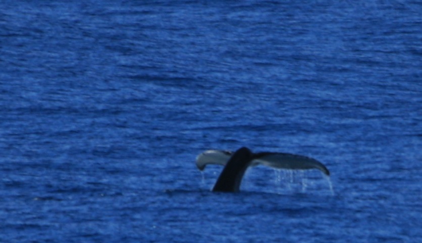 img_7113.jpg
