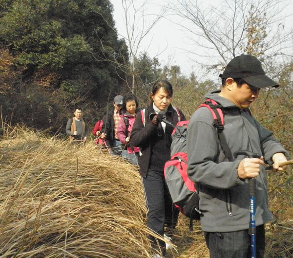 p1010733.jpg