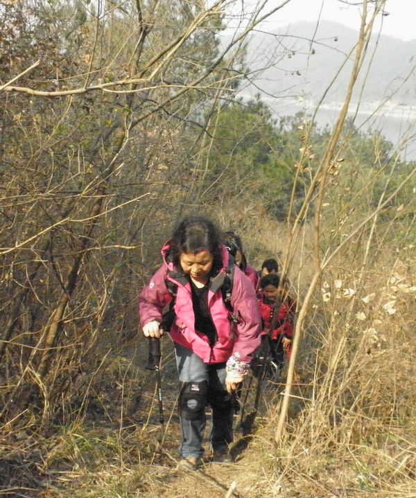 p1010737.jpg