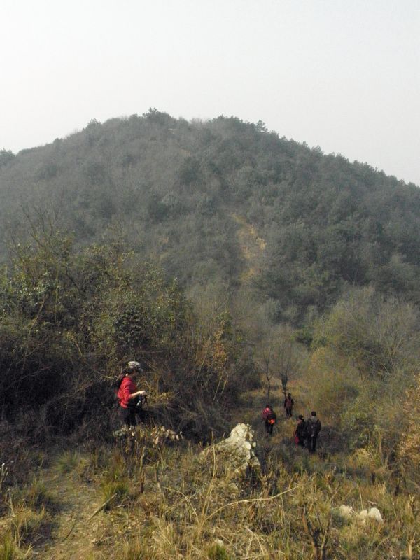 p1010744.jpg