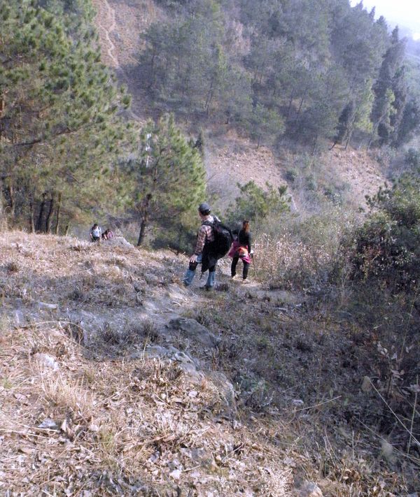 p1010760.jpg