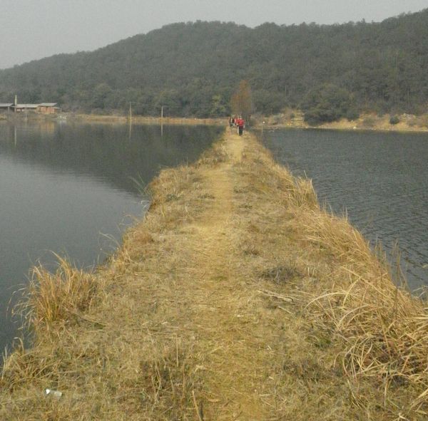 p1010729.jpg