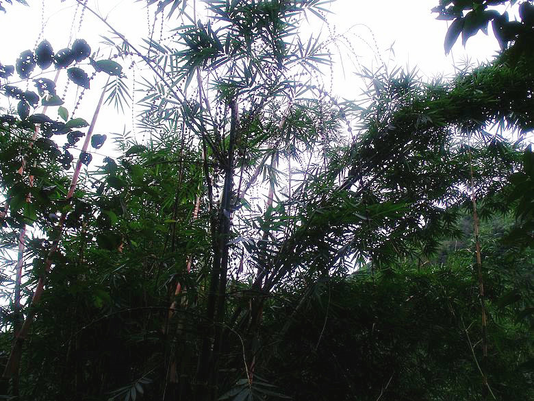 dscf9172.jpg
