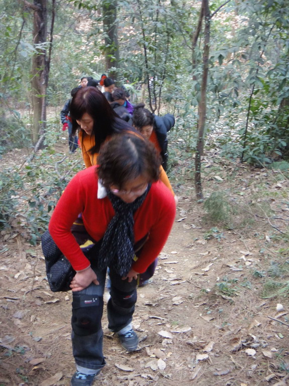dsc02252.jpg