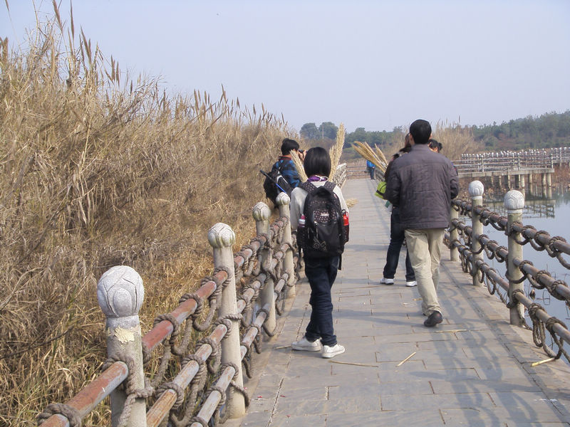 s73f1489.jpg