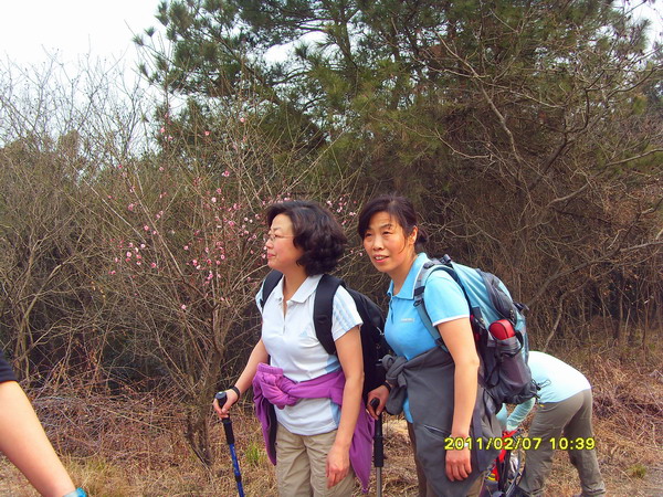 sdc16773.jpg