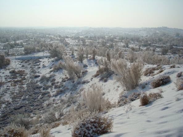 dsc07236_СС.jpg