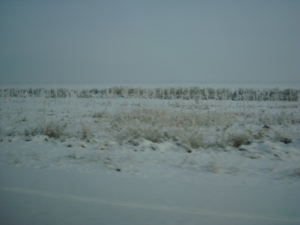 dsc07212_СС.jpg