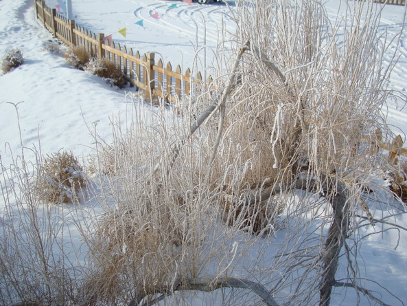 dsc07245_СС.jpg
